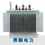 北京泰顺/S9系列10kV/全密封油浸式变压器