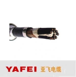 亚飞电缆/KVVP2系列/聚乙烯绝缘乙烯护套铜带屏蔽控制电缆