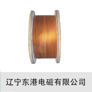 东港电磁线/180级双玻璃丝包扁铜线