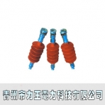 力王电力/FXBW3-10系列/有机复合悬式绝缘子