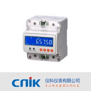 仪科仪表/CNIK-100系列/多功能导轨表