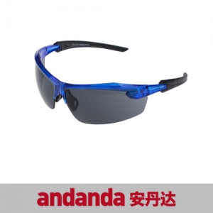 安丹达 Riviera 100 时尚防护眼镜 10106